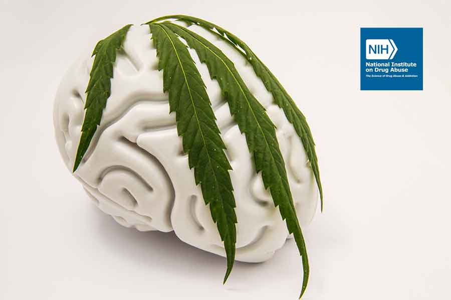 Conferencia Magistral en línea “La neurociencia de la adicción y otros trastornos mentales: una perspectiva evolutiva aplicable a la prevención y el tratamiento”